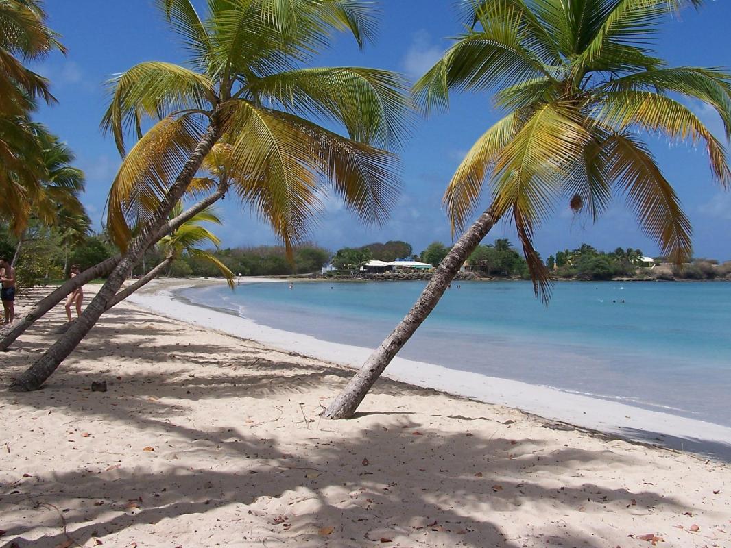 Louer une poussette canne pour vos vacances en Martinique